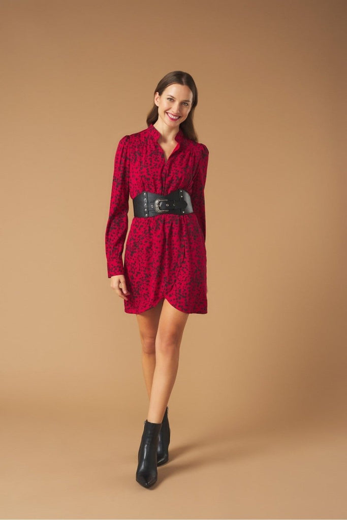 Minueto Lea Red Animal Print Mini Dress - Daisy Mae Boutique
